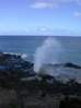 Preview of:
hawaii34.jpg
450 x 600 compressed image
(40,478 bytes)