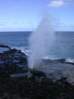 Preview of:
hawaii35.jpg
450 x 600 compressed image
(40,595 bytes)