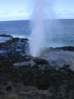 Preview of:
hawaii36.jpg
450 x 600 compressed image
(48,005 bytes)