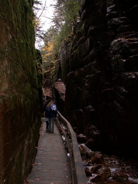 monadnock08.jpg 
450 x 600 compressed image 
(54,565 bytes)