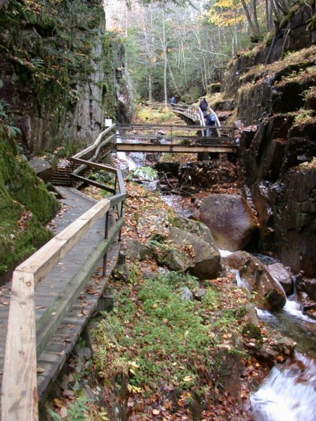 monadnock09.jpg 
450 x 600 compressed image 
(99,412 bytes)