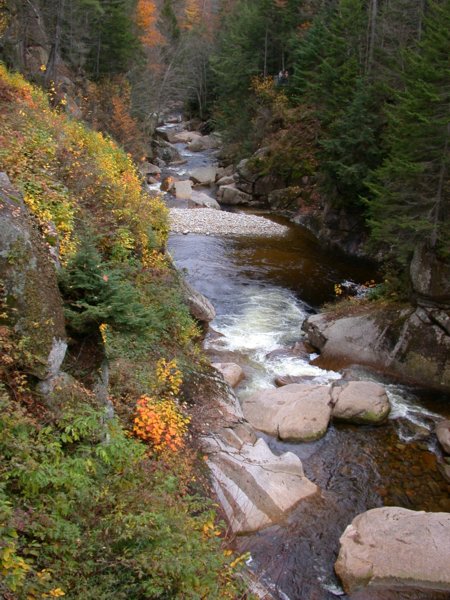 monadnock12.jpg 
450 x 600 compressed image 
(85,313 bytes)