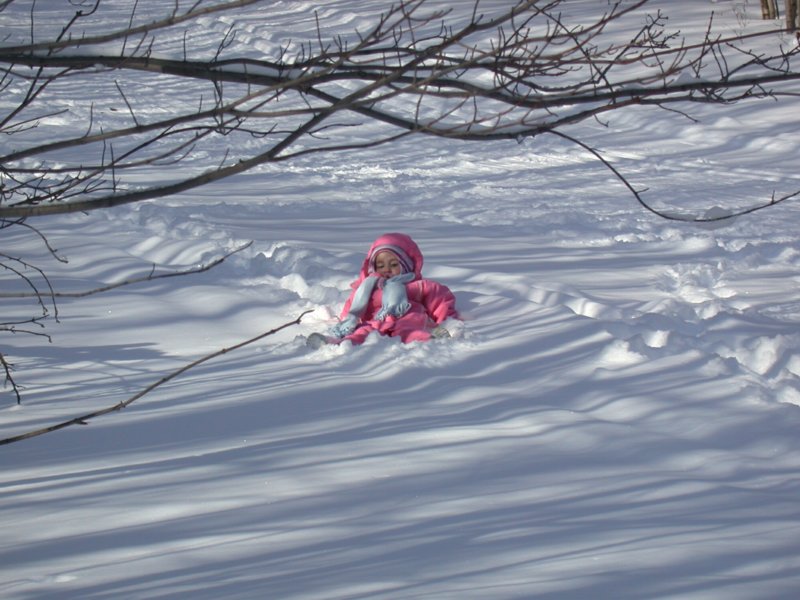 vermontski05.jpg 
800 x 600 compressed image 
(95,982 bytes)
