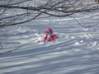 Preview of:
vermontski05.jpg
800 x 600 compressed image
(95,982 bytes)